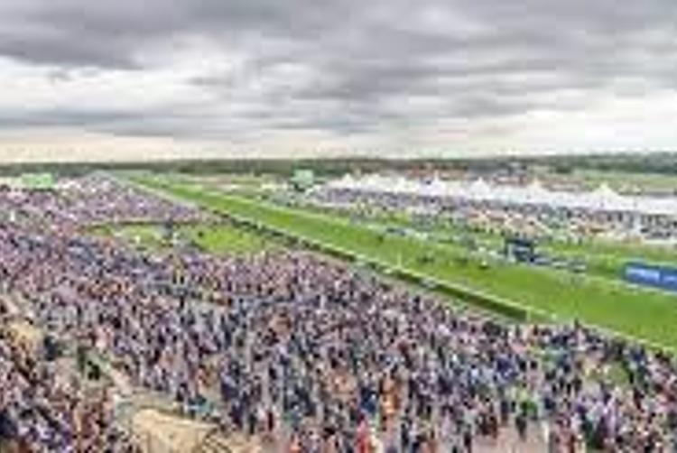 Best Western Premier Mount Pleasant Hotel | Doncaster | 5