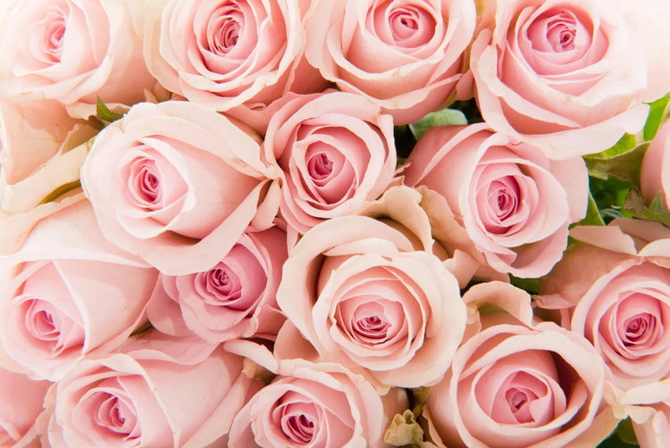 Best Western Premier Mount Pleasant Hotel | Doncaster | 2